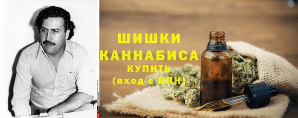 амф Горняк