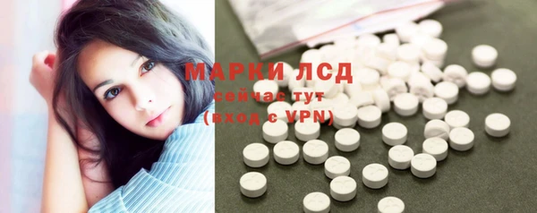амф Горняк