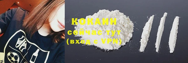 амф Горняк