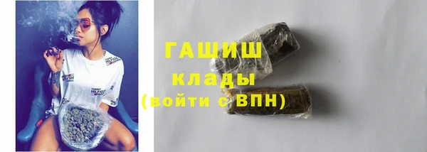амф Горняк