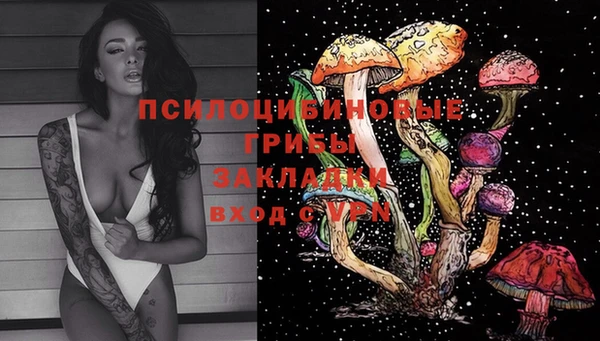 эйфоретик Горно-Алтайск