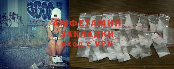амф Горняк