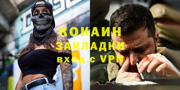 амф Горняк
