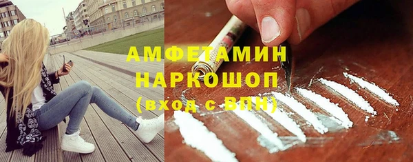 амф Горняк