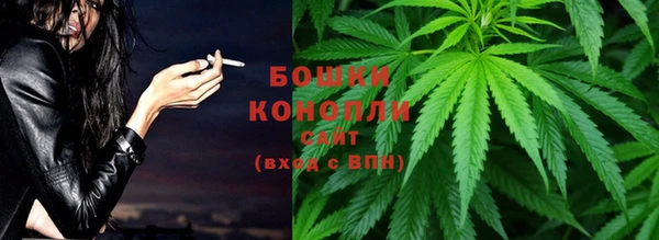 амф Горняк