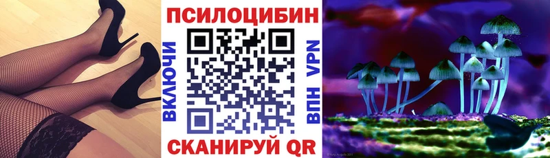 Галлюциногенные грибы MAGIC MUSHROOMS  Дербент 